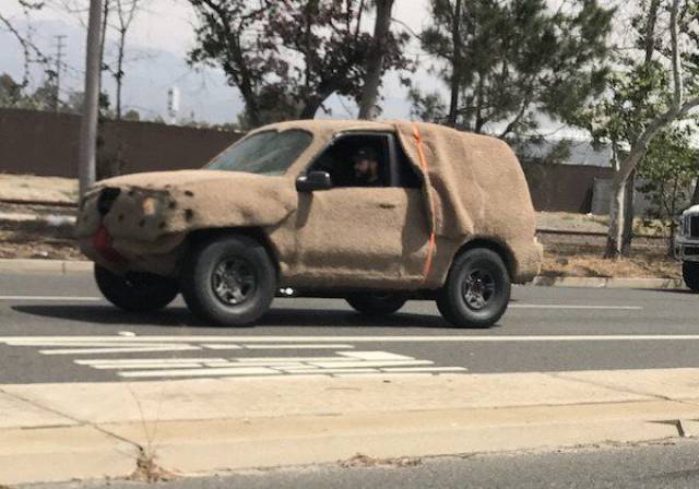 Content Image