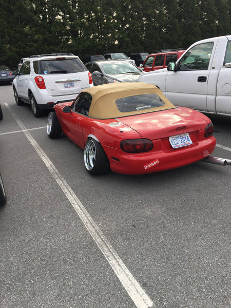 Morning Picdump