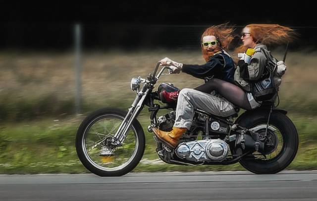 Daily Picdump