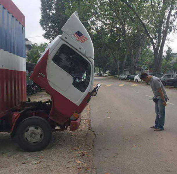 Morning Picdump
