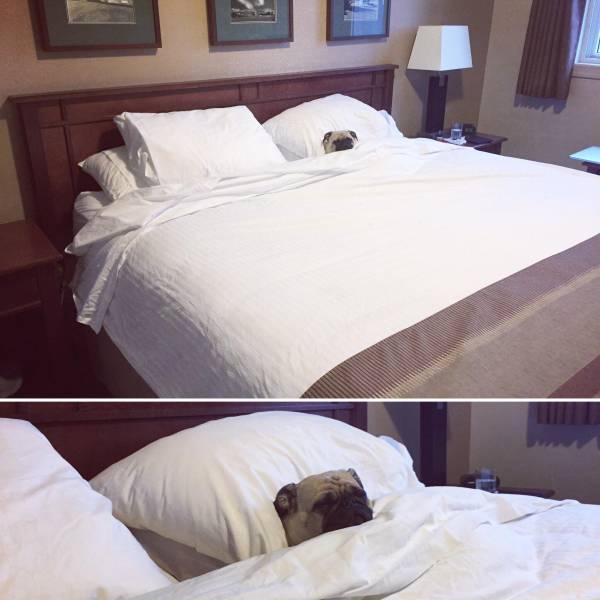 Morning Picdump