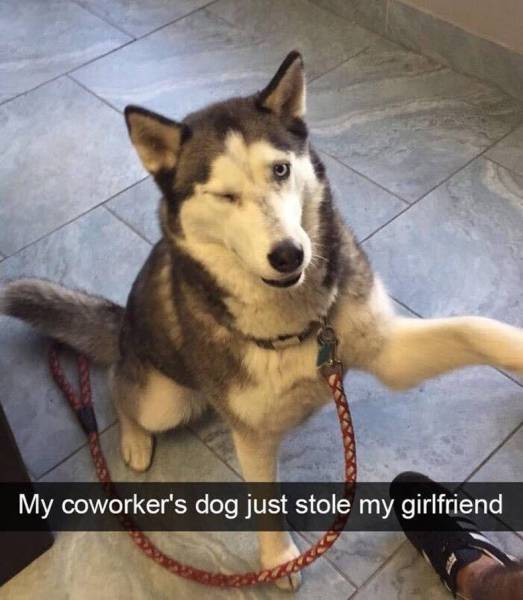 Daily Picdump [WEEKEND EDITION]