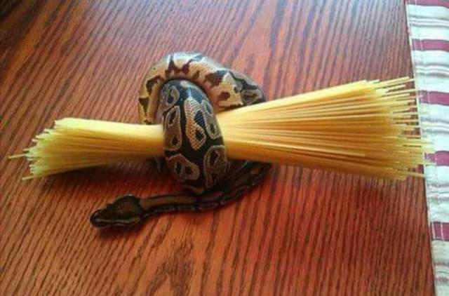 Content Image