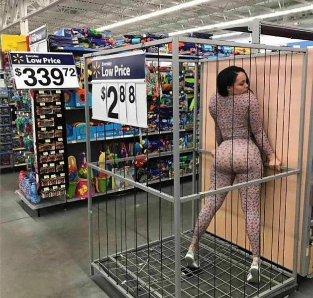 Content Image