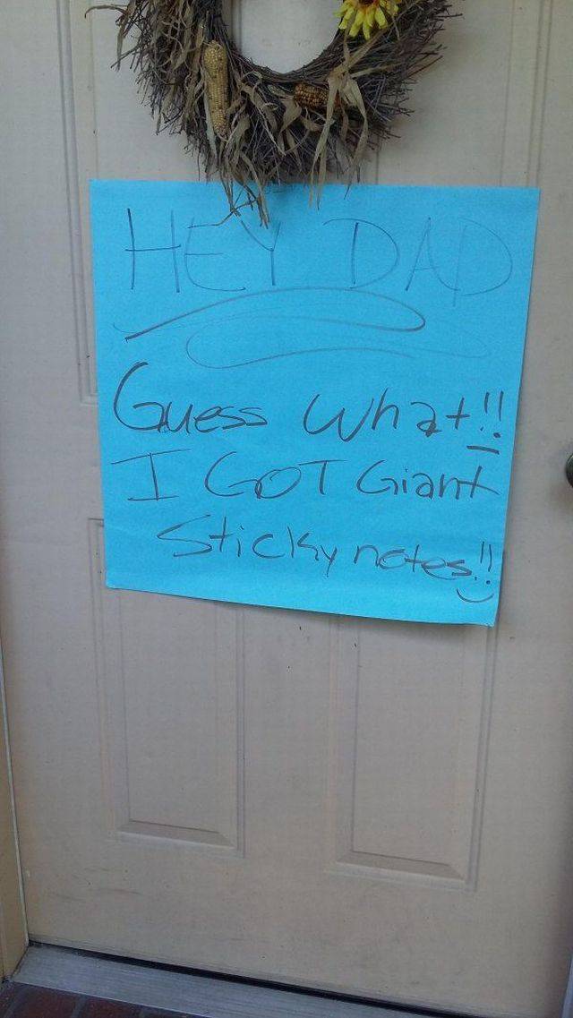 Daily Picdump