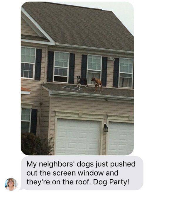 Content Image
