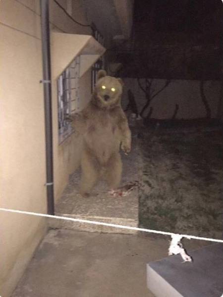 Content Image