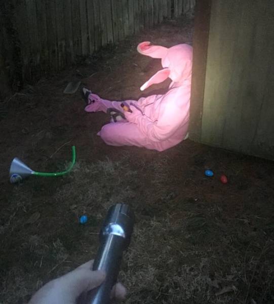 Content Image