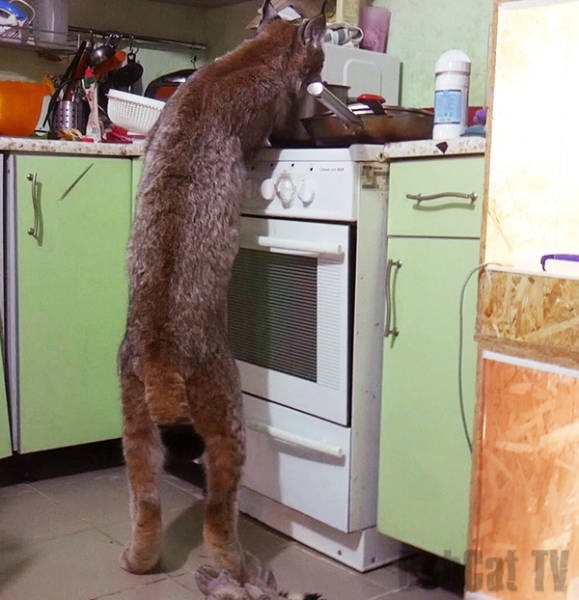 Morning Picdump