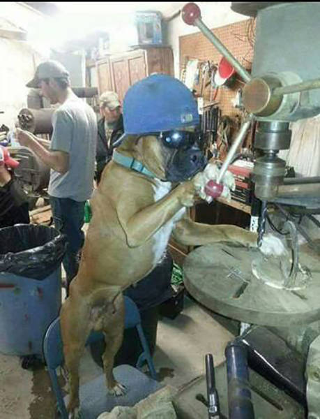 Morning Picdump