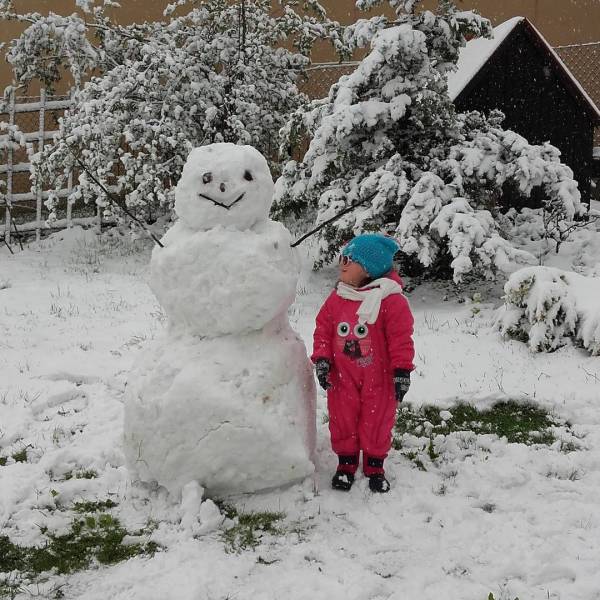 Daily Picdump