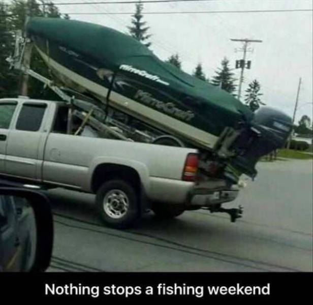 Daily Picdump
