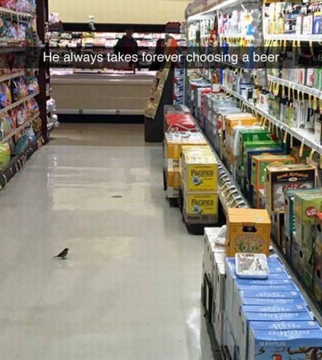 Daily Picdump