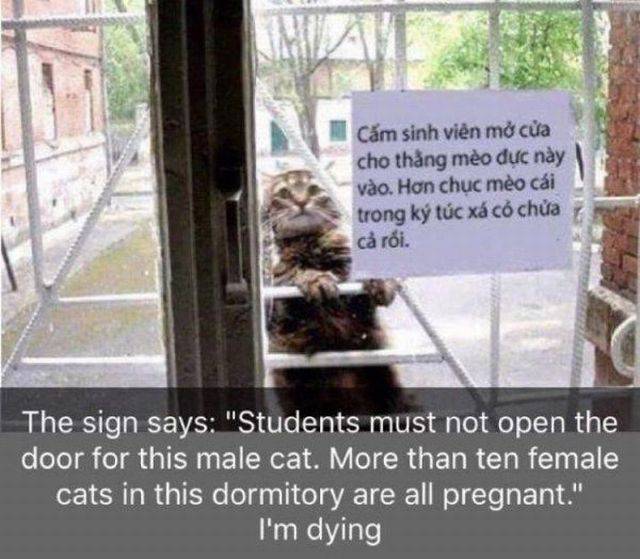 Daily Picdump