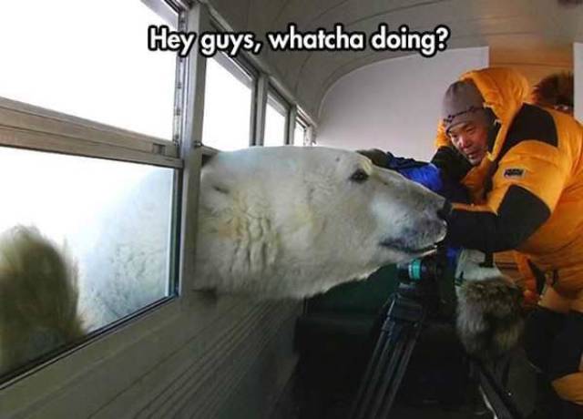 Daily Picdump