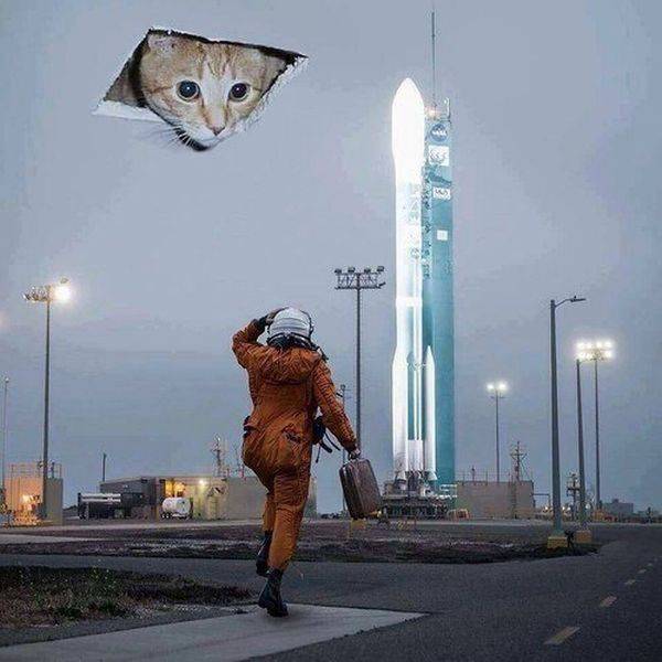 Content Image
