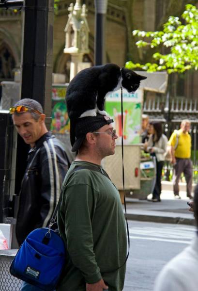 Morning Picdump