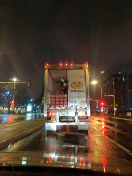 Morning Picdump