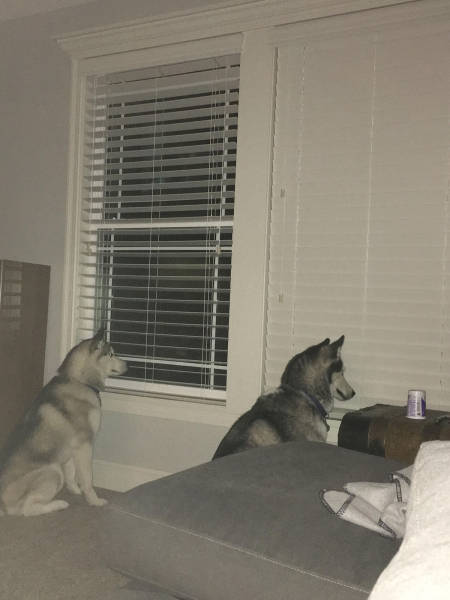 Content Image