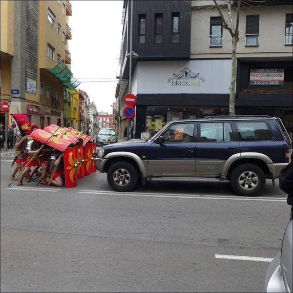 Daily Picdump