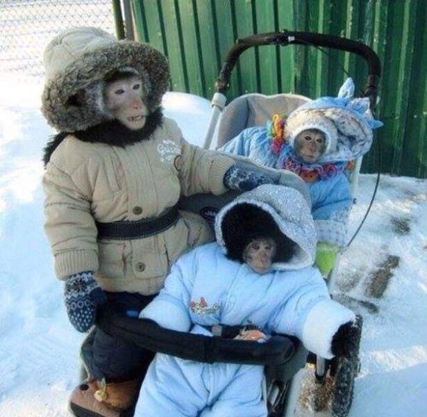 Daily Picdump