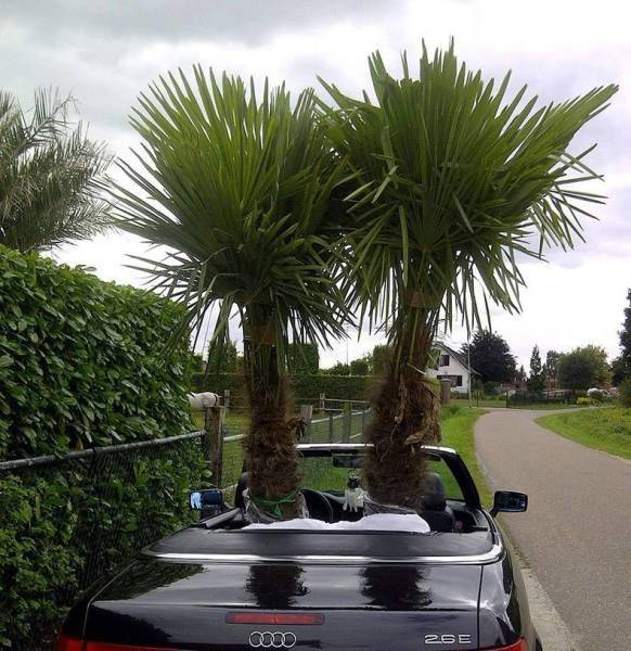 Daily Picdump