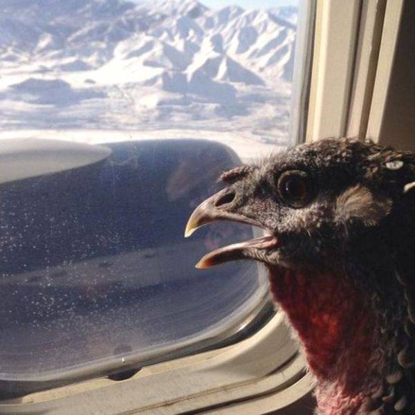 Daily Picdump