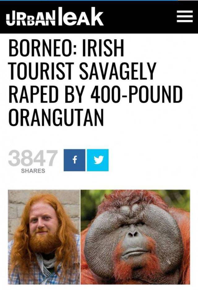 Content Image