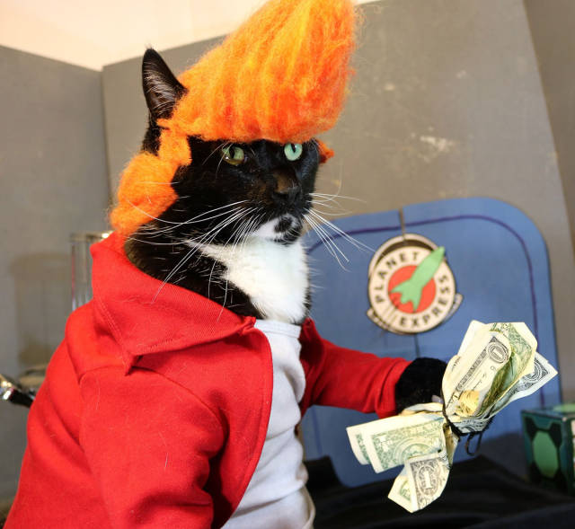Content Image