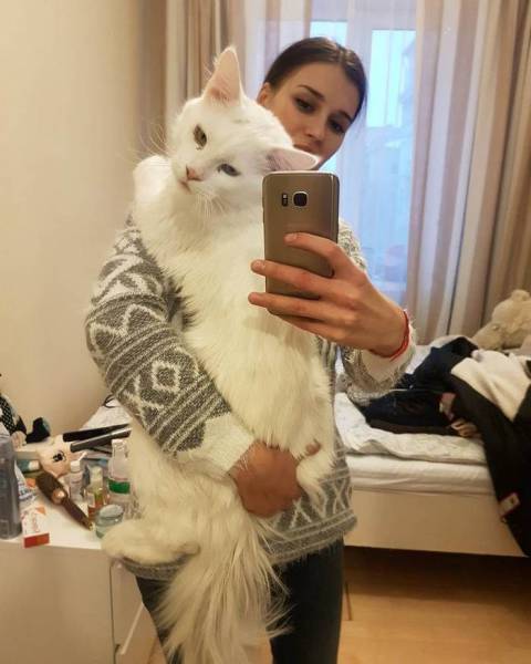 Daily Picdump [WEEKEND EDITION]