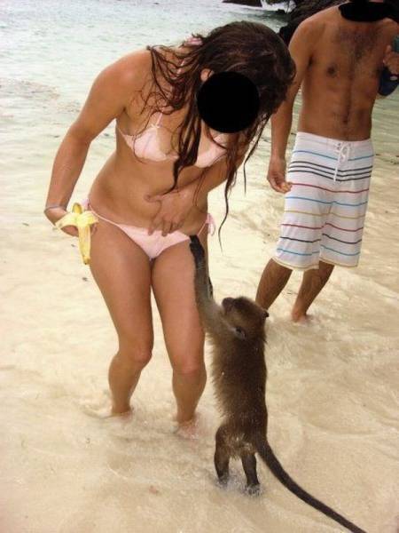 Daily Picdump [WEEKEND EDITION]