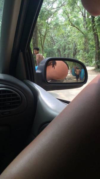 Daily Picdump
