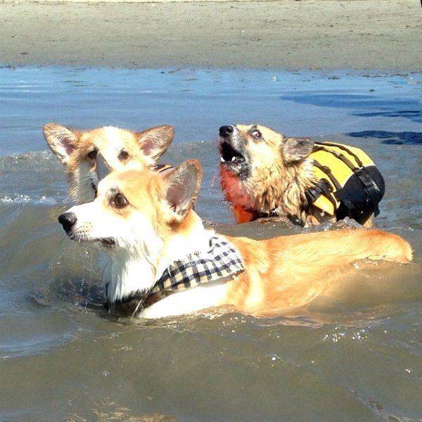 Daily Picdump