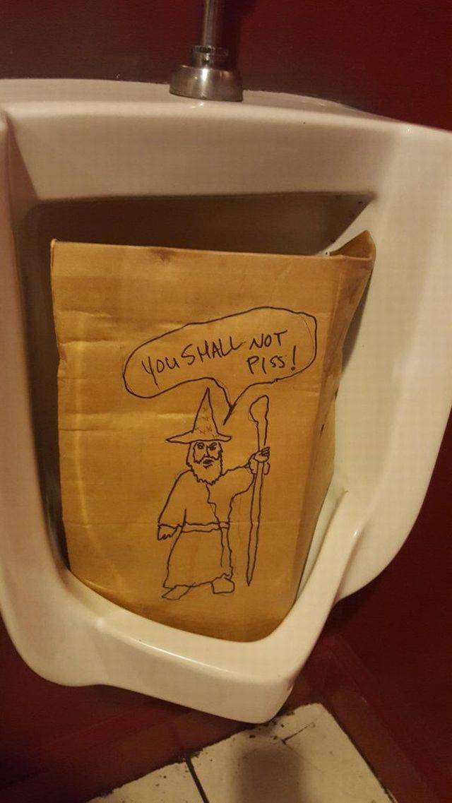 Daily Picdump