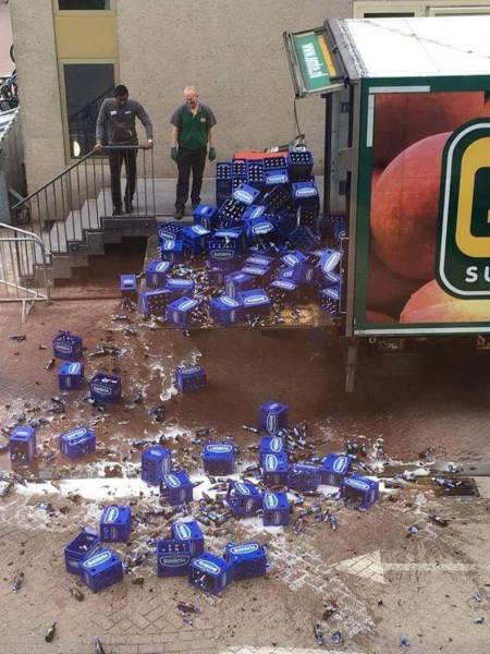 Daily Picdump