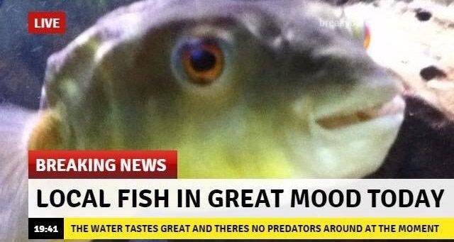 Daily Picdump