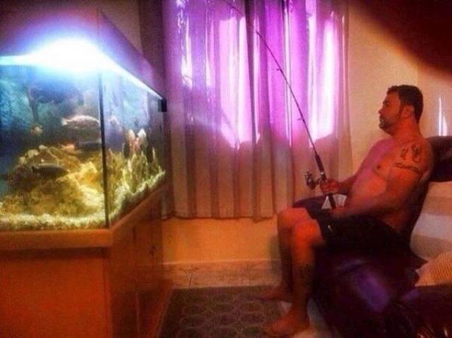 Content Image