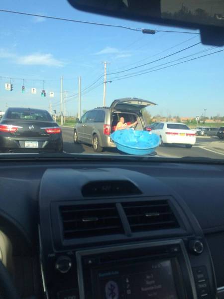 Content Image