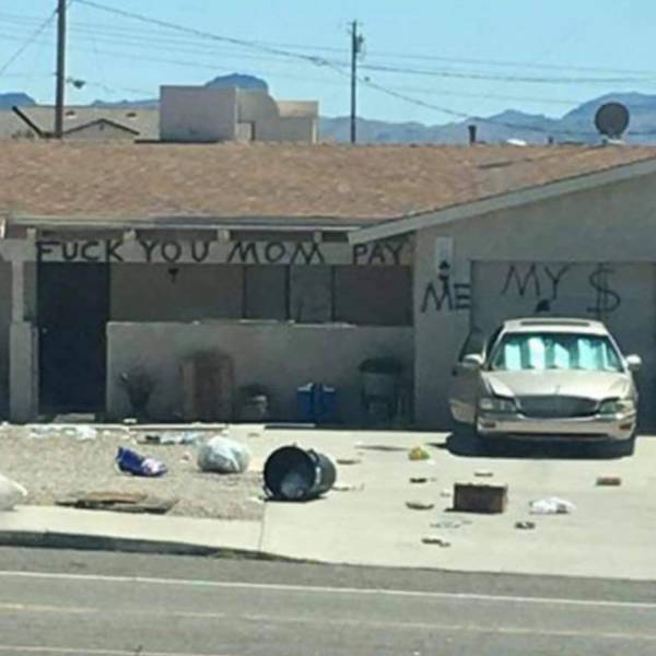 Daily Picdump [WEEKEND EDITION]