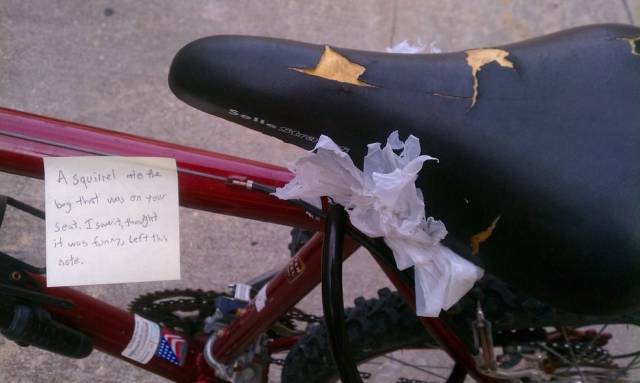 Daily Picdump