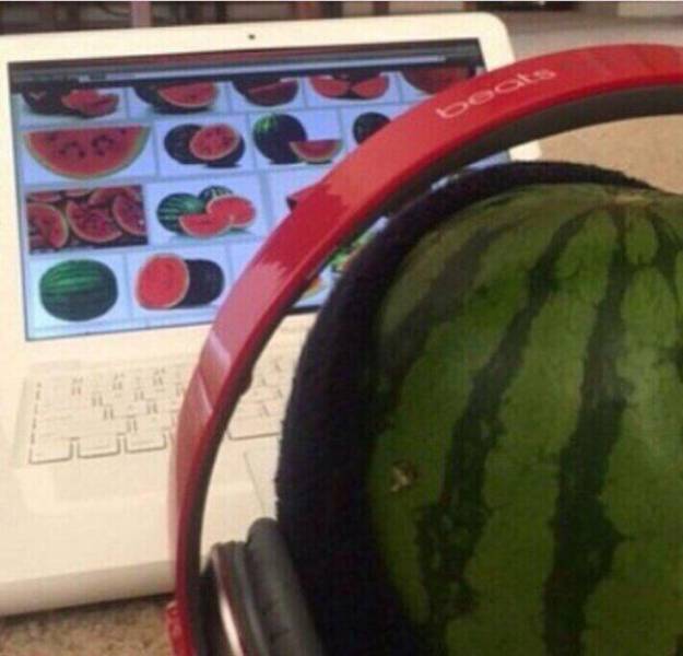 Daily Picdump