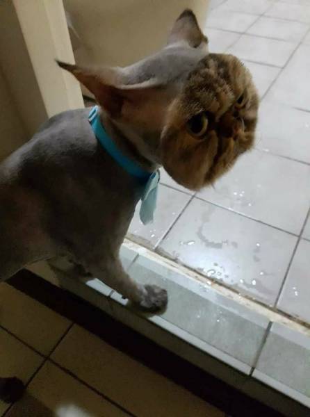 Morning Picdump
