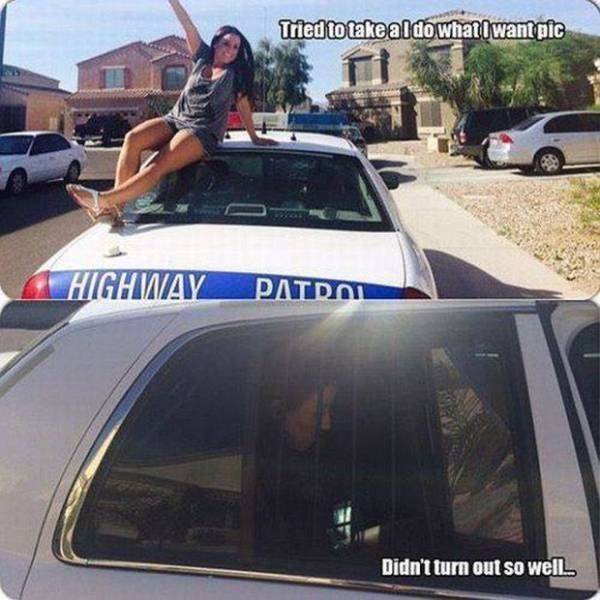 Morning Picdump