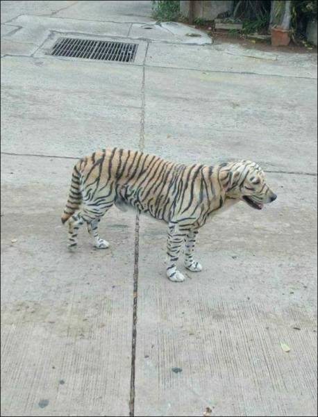 Morning Picdump