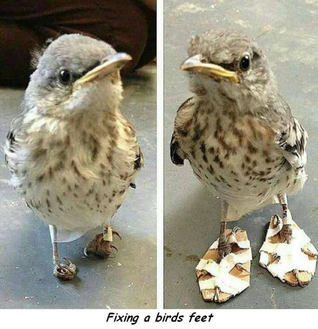 Content Image