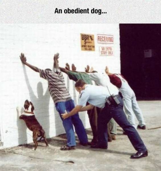Daily Picdump