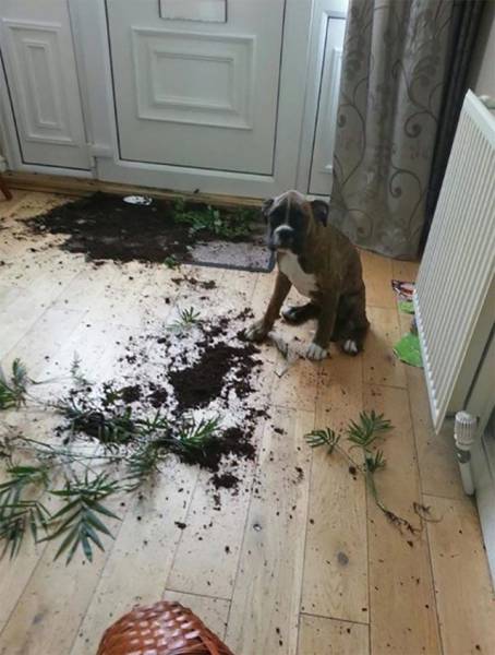 Daily Picdump