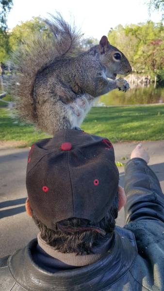 Daily Picdump