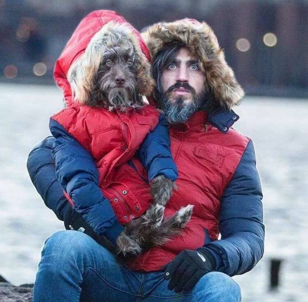 Content Image