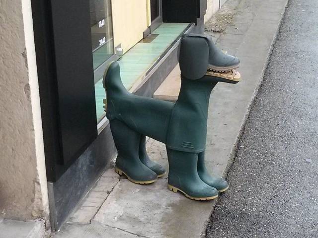 Content Image